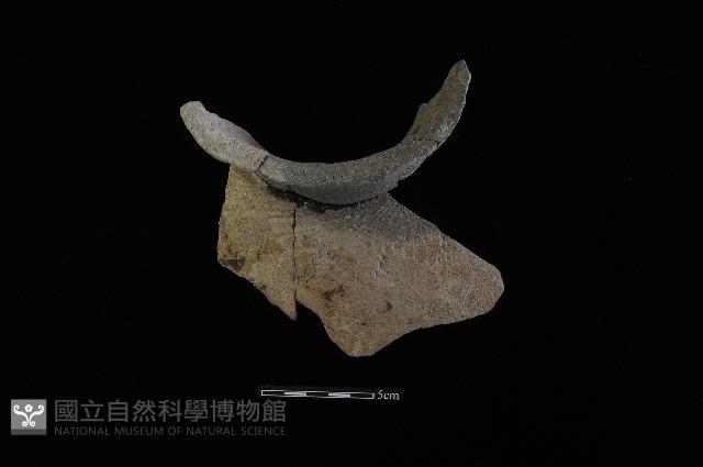 陶罐藏品圖，第1張