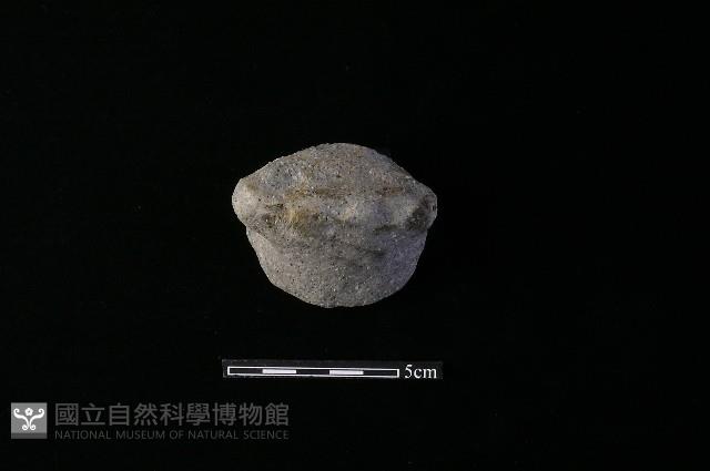 陶器藏品圖，第1張