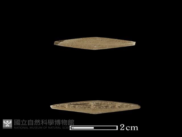 矛鏃形器藏品圖，第3張