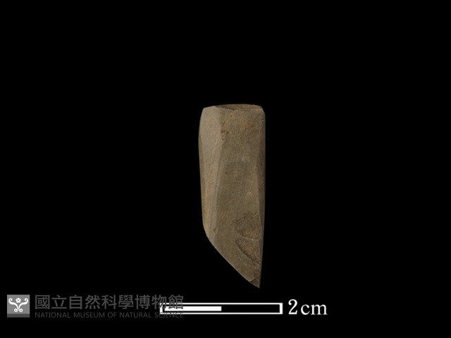 錛鑿形器藏品圖，第3張