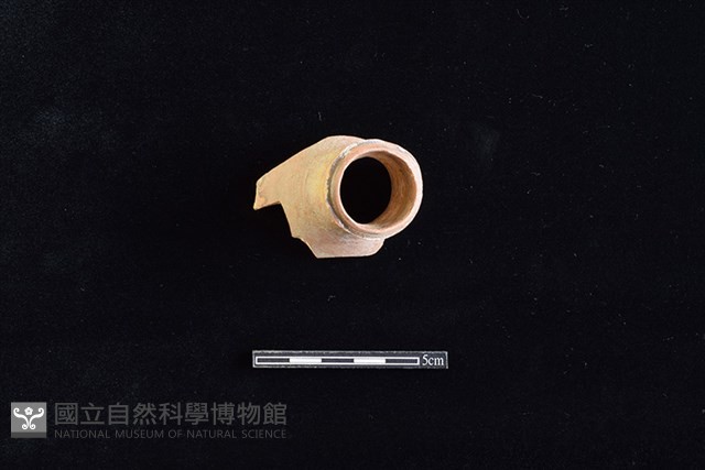 瓶藏品圖，第3張