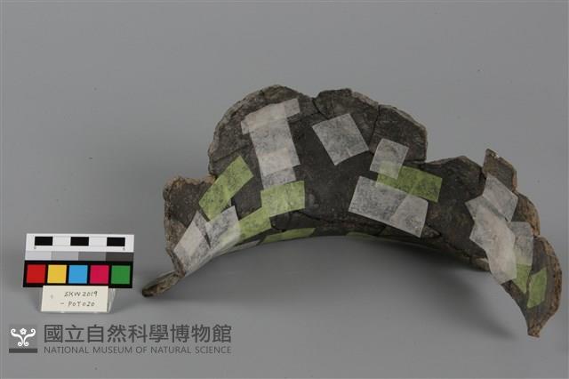 罐形器藏品圖，第2張