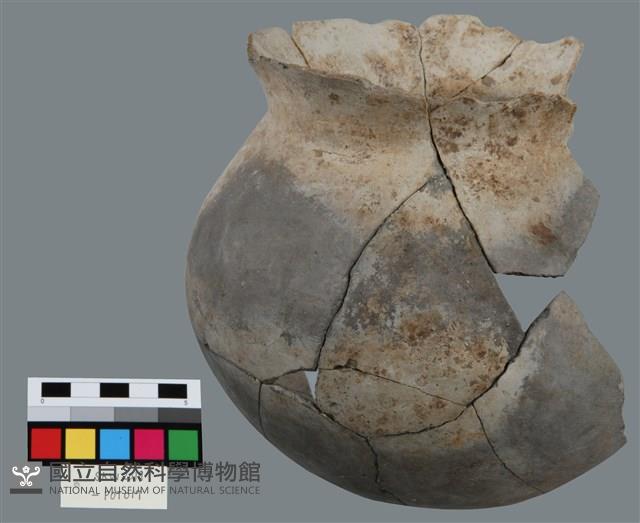 罐形器藏品圖，第2張