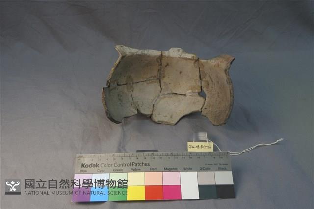 陶罐藏品圖，第2張