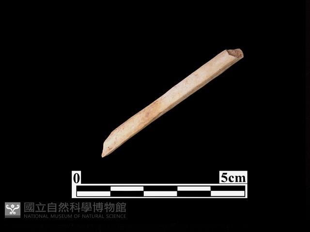 骨器藏品圖，第2張