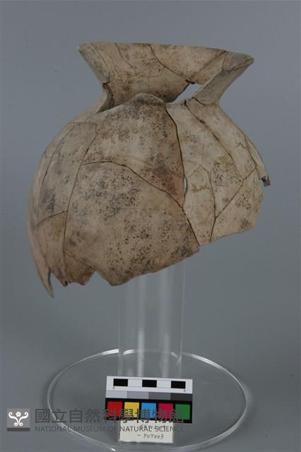 罐形器藏品圖，第2張