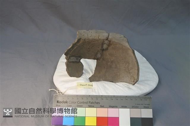 陶罐藏品圖，第2張