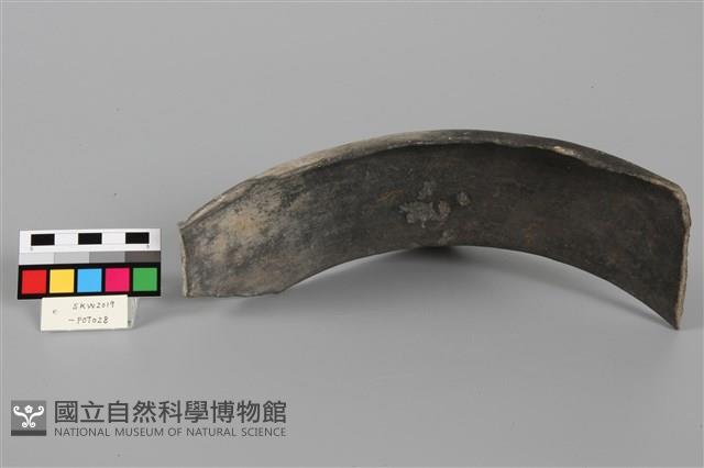 Accession Number:SKW2019-POT028 Collection Image, Figure 2, Total 4 Figures