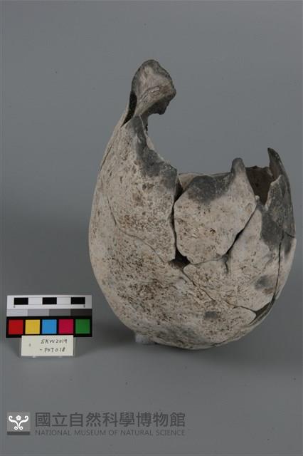 Accession Number:SKW2019-POT018 Collection Image, Figure 2, Total 4 Figures