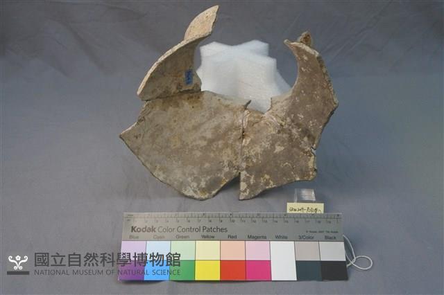陶罐藏品圖，第2張