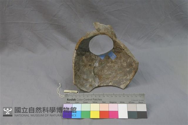 陶罐藏品圖，第2張