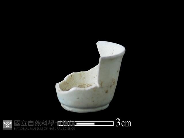 瓷杯藏品圖，第2張