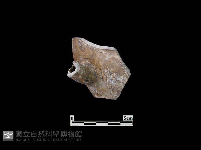 陶壺藏品圖，第3張