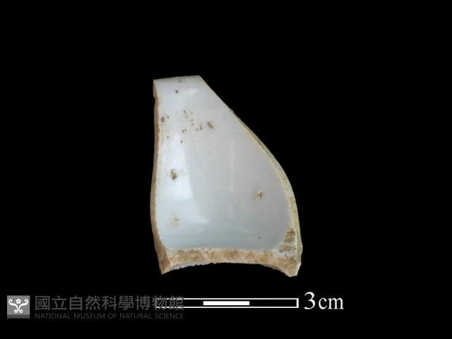 瓷杯藏品圖，第2張