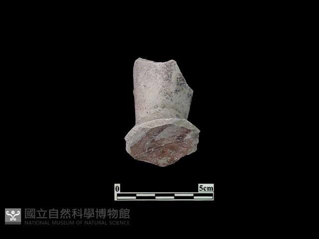 陶杯藏品圖，第3張