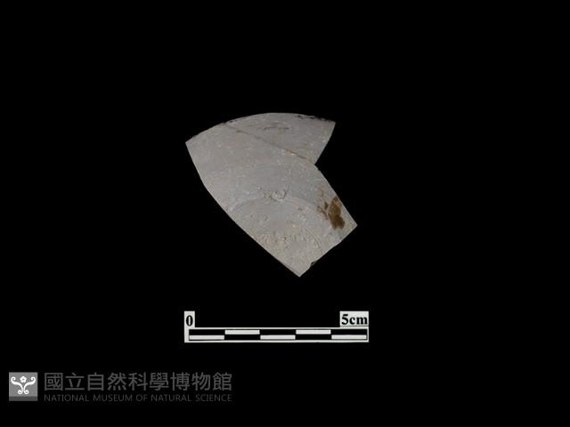 陶碗藏品圖，第1張