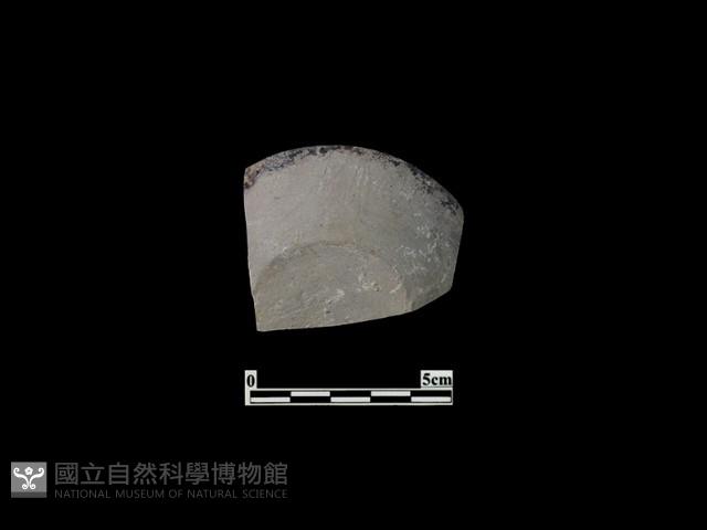 陶碟藏品圖，第2張