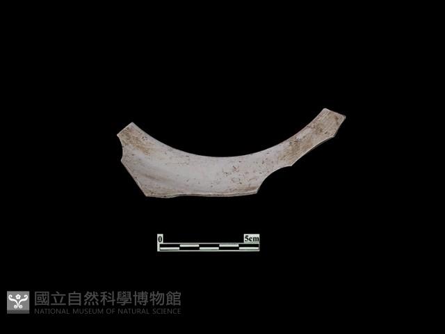 陶片藏品圖，第1張