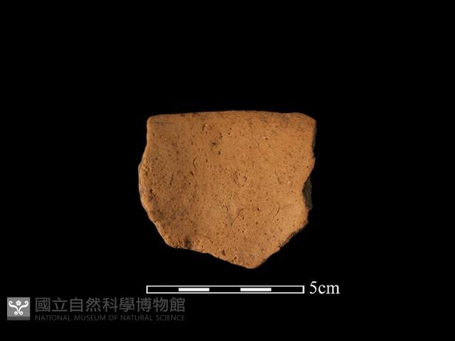口緣殘片藏品圖，第1張