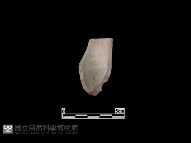 陶杯藏品圖，第2張