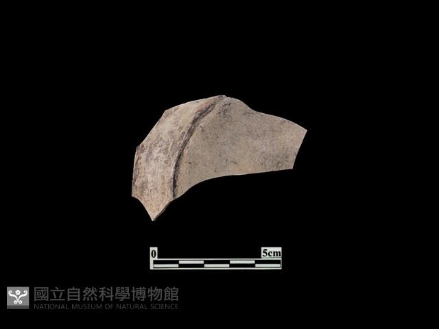 Accession Number:PTT-SP30 Collection Image, Figure 2, Total 2 Figures