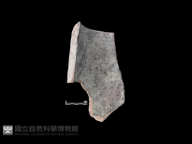 煙囪藏品圖，第1張