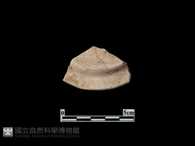 陶蓋藏品圖，第1張