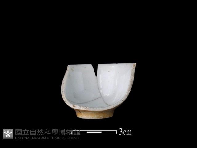 瓷杯藏品圖，第1張