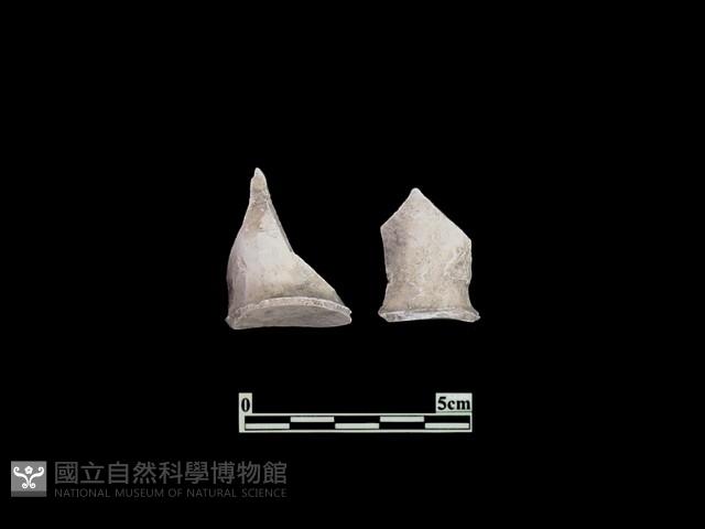 陶杯藏品圖，第1張