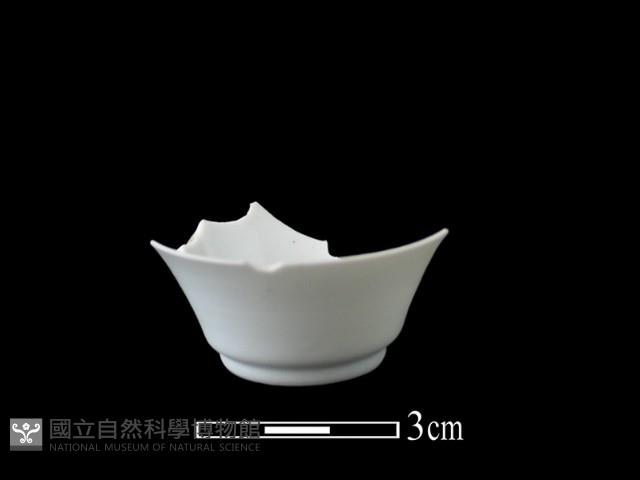 瓷杯藏品圖，第2張