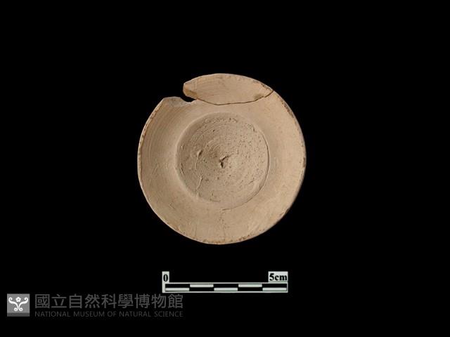陶蓋藏品圖，第2張