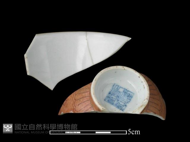 瓷杯藏品圖，第2張