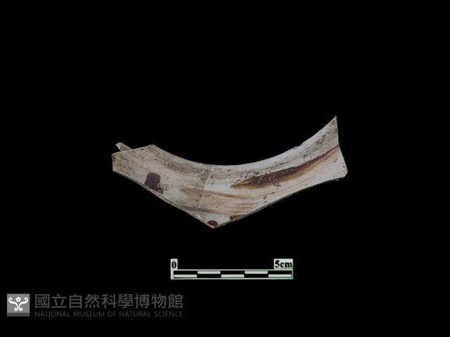 陶片藏品圖，第2張