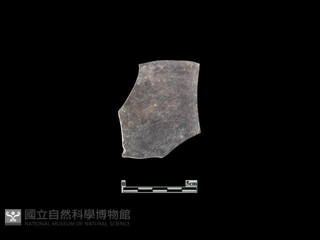 陶片藏品圖，第1張