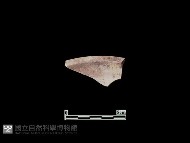 Accession Number:PTT-PP32 Collection Image, Figure 2, Total 2 Figures