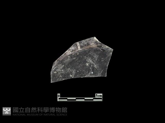 陶皿藏品圖，第1張