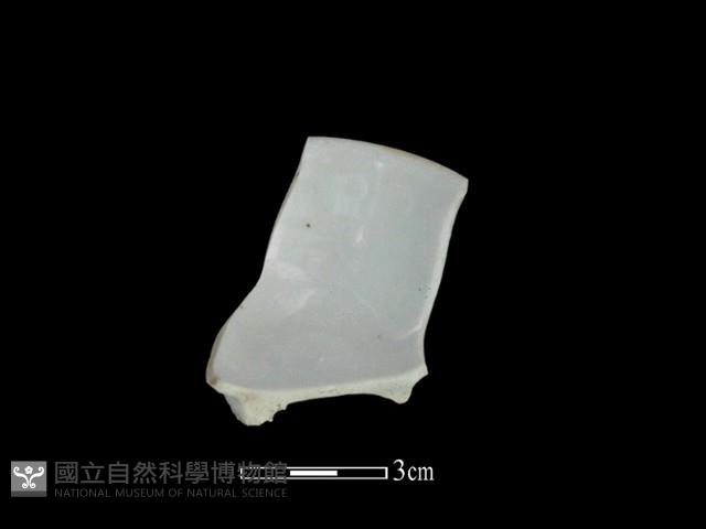 瓷杯藏品圖，第1張