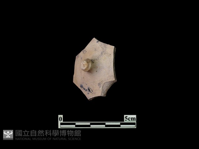 陶蓋藏品圖，第2張