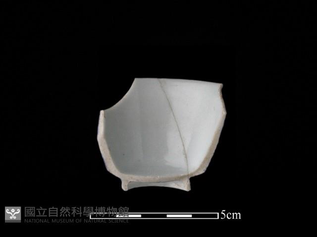 瓷杯藏品圖，第2張