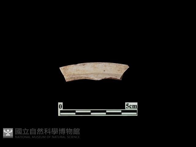 陶片藏品圖，第1張