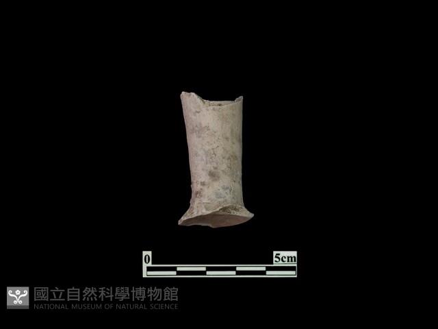 陶杯藏品圖，第1張