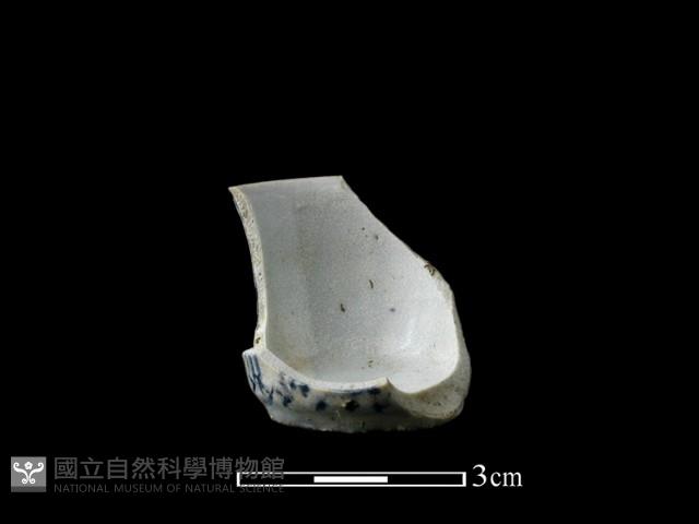 瓷杯藏品圖，第2張