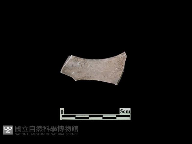 陶片藏品圖，第2張