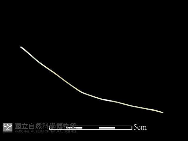 銅線藏品圖，第2張