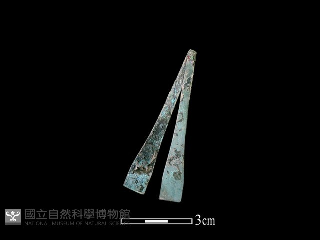 銅鑷子藏品圖，第1張