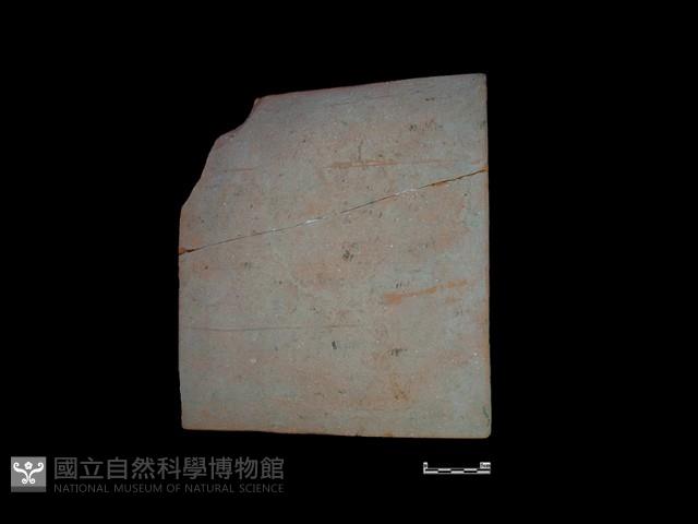 瓦片藏品圖，第2張