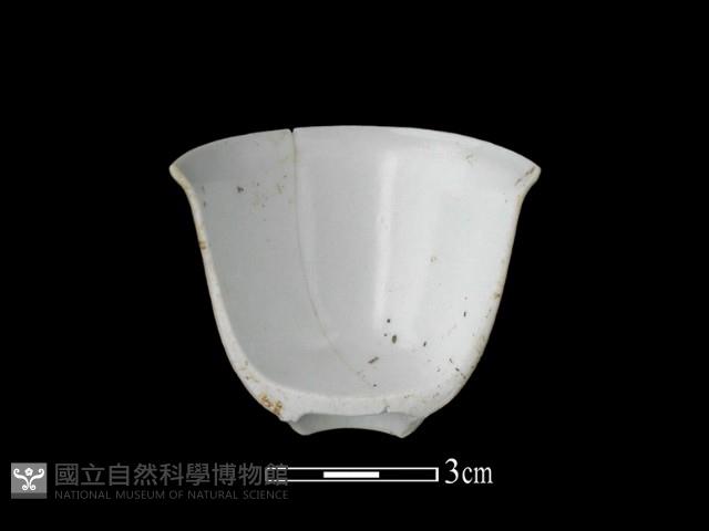 瓷杯藏品圖，第2張