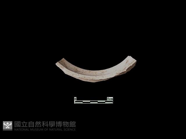 陶片藏品圖，第1張