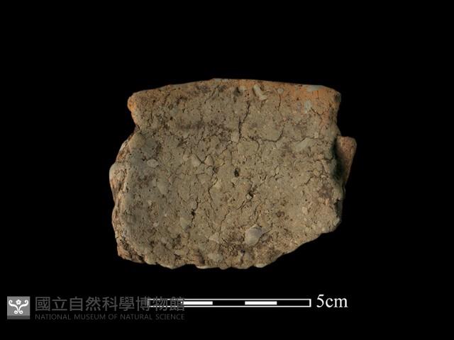 口緣殘片藏品圖，第2張