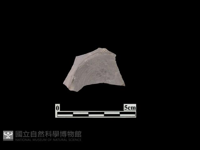 陶皿藏品圖，第2張